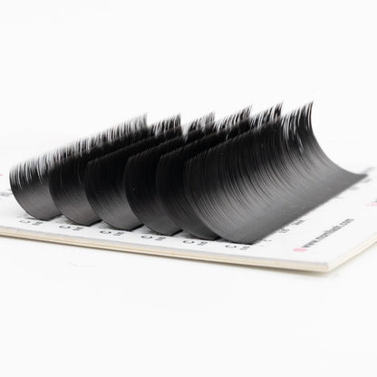 Velvet Black Lash Extension 0.10mm Thickness (6 Lines)